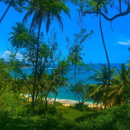 Bluewind Resort 坦加拉 外观 照片